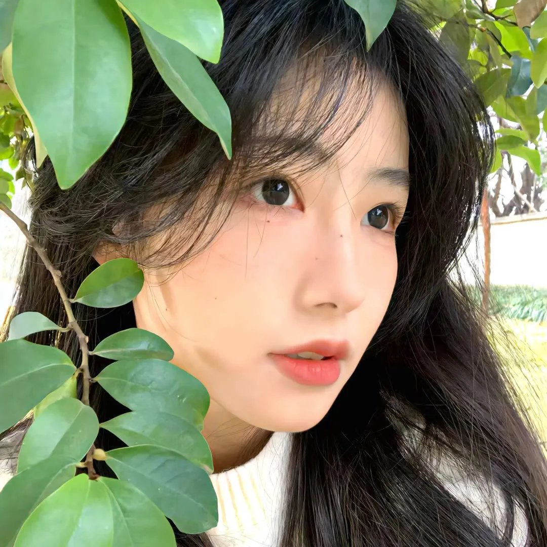 八四年夏天