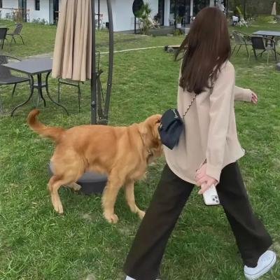 狂热